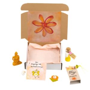 Brievenbus cadeaupakket moois